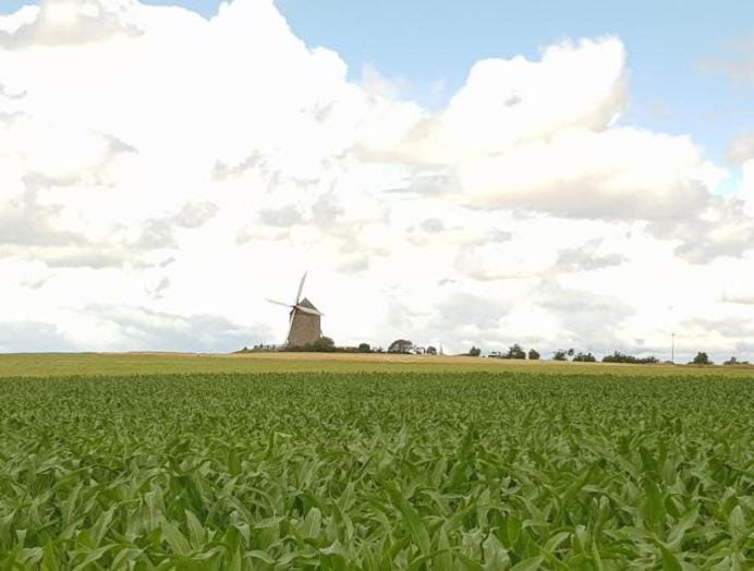 פונטורסון Gite Timeo Mont Saint-Michel מראה חיצוני תמונה