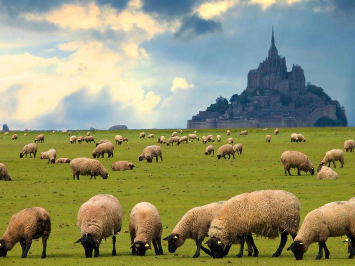 פונטורסון Gite Timeo Mont Saint-Michel מראה חיצוני תמונה